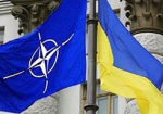 НАТО собирается направить наблюдателей на выборы в Украину