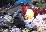 Власти хотят организовать межрайонные мусорные полигоны