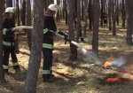 В Волчанском районе горел лес