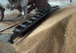 Украина намолотила уже 23 миллиона тонн зерна