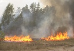 В Красноградском районе горел лес