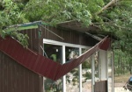 «Облэнерго»: Все дома, которые пострадали от вчерашней грозы, снова будут со светом