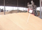 Украинское зерно будут экспортировать в Китай