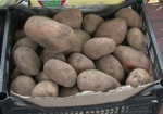 Минагрополитики: Неурожая картофеля не будет