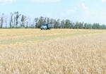 Харьковщина вторая в Украине по валовому сбору ранних зерновых