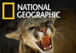 Канал National Geographic из-за рекламы алкоголя закрывают в Украине