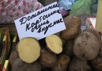 Картофель продолжает дорожать, несмотря на сезон уборки