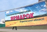 Азаров велел местным властям почаще устраивать сельскохозяйственные ярмарки