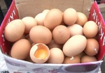 Производителей и продавцов просят не повышать цены на яйца