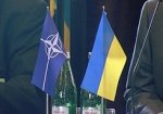 Наблюдателей из НАТО позвали на выборы в Украину