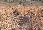 Украинцам напомнили о штрафах за сжигание листьев