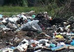 Украинцев будут штрафовать за захоронение непереработанных отходов