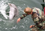 Дельфины будут защищать Украину от подводных диверсантов