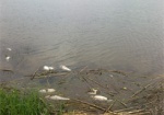Рыбному предприятию на Харьковщине могут запретить промышленный лов