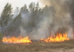 В области уменьшилось количество лесных пожаров