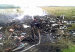 ДонОГА: Украинские спасатели не могут попасть к месту крушения «Боинга»
