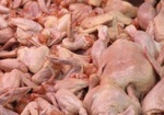 Предприятие пыталось продать 70 тонн курятины с сальмонеллезом