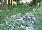Харьковский район утопает в мусоре. На окраинах поселка Васищево - горы отходов