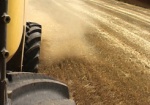 Аграрии Харьковщины намолотили 2 миллиона тонн зерна