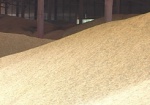 Мировые цены на пшеницу упали до четырехлетнего минимума