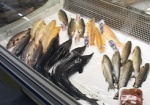 Большую часть рыбы на украинские прилавки привозят из-за границы