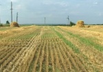 На Харьковщине фермеры не платили налоги и пытались скрыть свой урожай