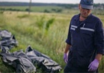 ООН: В Нидерландах опознали 65 жертв катастрофы «Боинга»