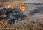 На Харьковщине за выходные выгорело 12 гектаров травы
