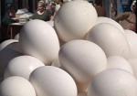 Минагрополитики: В Украине растет производство яиц
