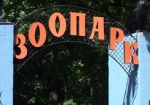 Харьковчане будут выбирать логотип для зоопарка