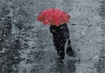 На следующей неделе в Харькове обещают дождь с мокрым снегом