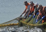 Норвегия поможет Украине развивать рыболовство