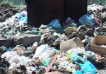 Празднующие харьковчане оставили на площадях и в парках тонны мусора