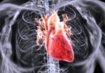 ВОЗ: За два года почти полмиллиона украинцев умерло из-за проблем с сердцем