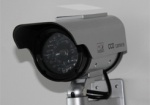 Из палаты Тимошенко могут убрать камеры наблюдения