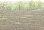 Фермер из Волчанского района незаконно осваивал 20 га государственных земель