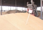 Минагрополитики: Украина остается в первой пятерке экспортеров зерновых в мире
