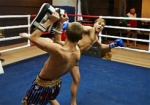 Больше половины мест в сборной по тайскому боксу - у харьковских спортсменов