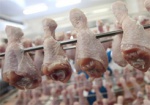 Украинскую курятину начнут поставлять на рынки ЕС уже летом