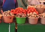 Овощи и фрукты понемногу начинают дешеветь