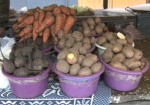 В Минагрополитики рапортуют о существенном снижении цен на овощи