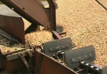 Минагрополитики: Украина уже экспортировала 19 миллионов тонн зерна