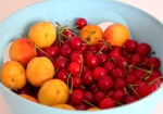 Вишни и абрикосы из-за морозов могут стать деликатесом - эксперт