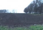 Харьковские поля засеют редкими злаками