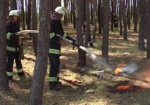 В Харьковской области начался сезон лесных пожаров