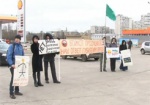 Активисты снова выйдут пикетировать заправки «Shell»