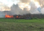 В области выгорело 5 гектаров травы