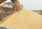В Украине сняли ограничения на экспорт пшеницы