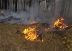 На выходных пожарные больше сорока раз тушили сухую траву