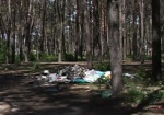 Майские - прошли, мусор - остался. В городских парках и скверах отдыхающие оставили горы отходов